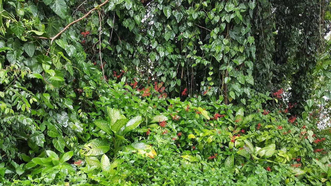 Babinda Quarters Hotel Australia