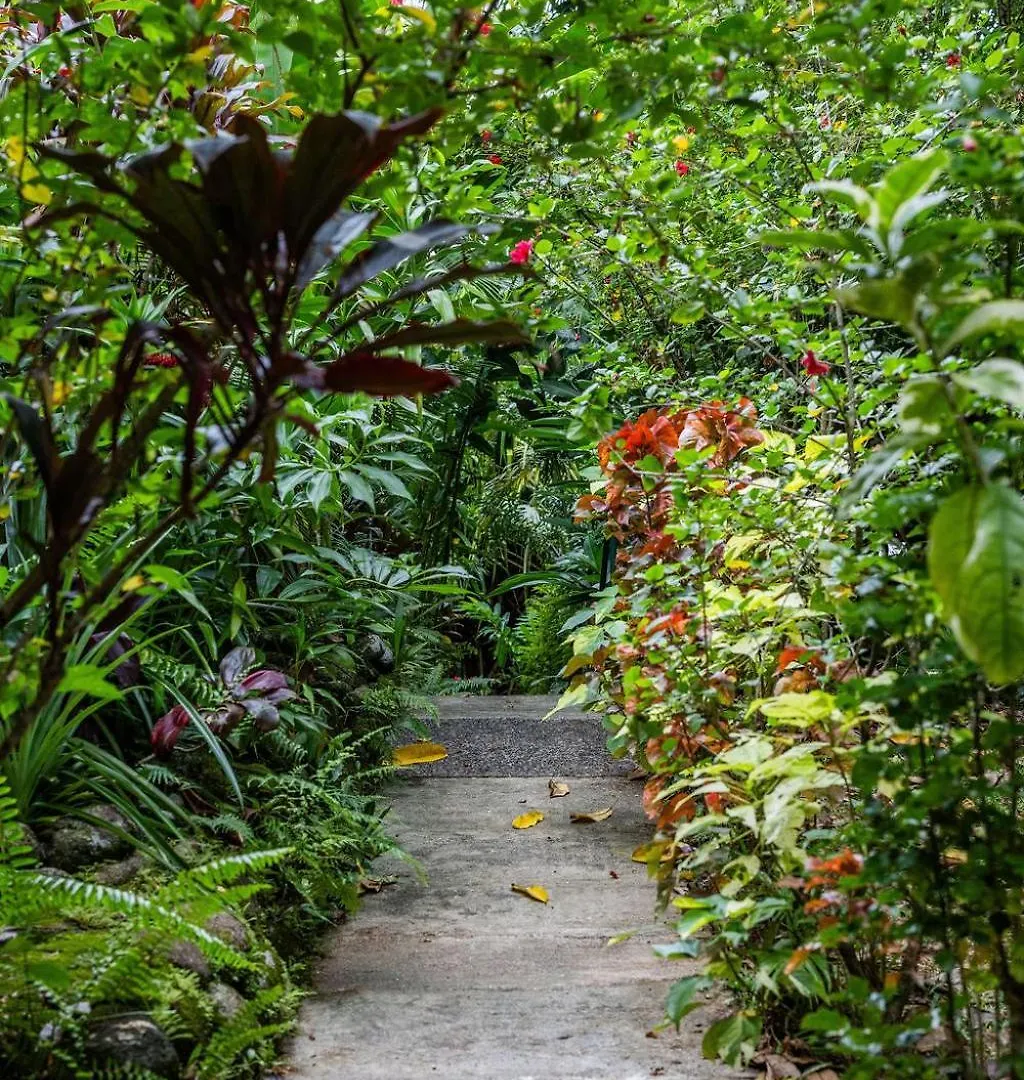 Babinda Quarters Hotell Pensionat